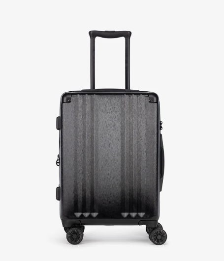 Calpak Carry-On Luggage